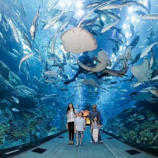 SeaWorld Abu Dhabi aquarium tunnel with family walking under marine life display