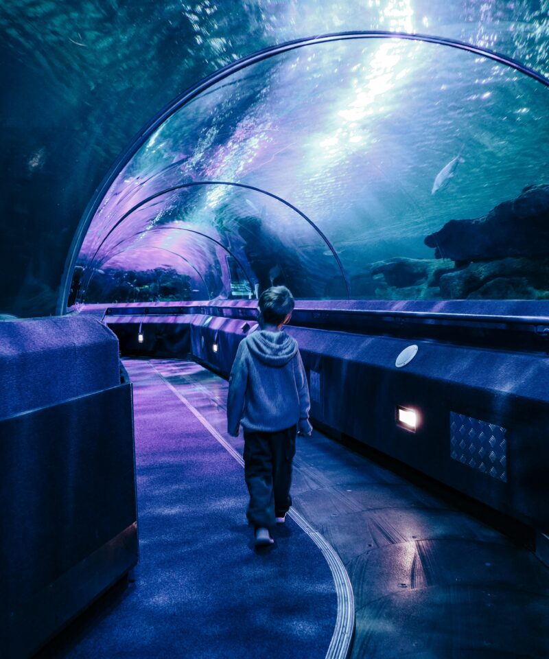 National Aquarium Abu Dhabi entrance