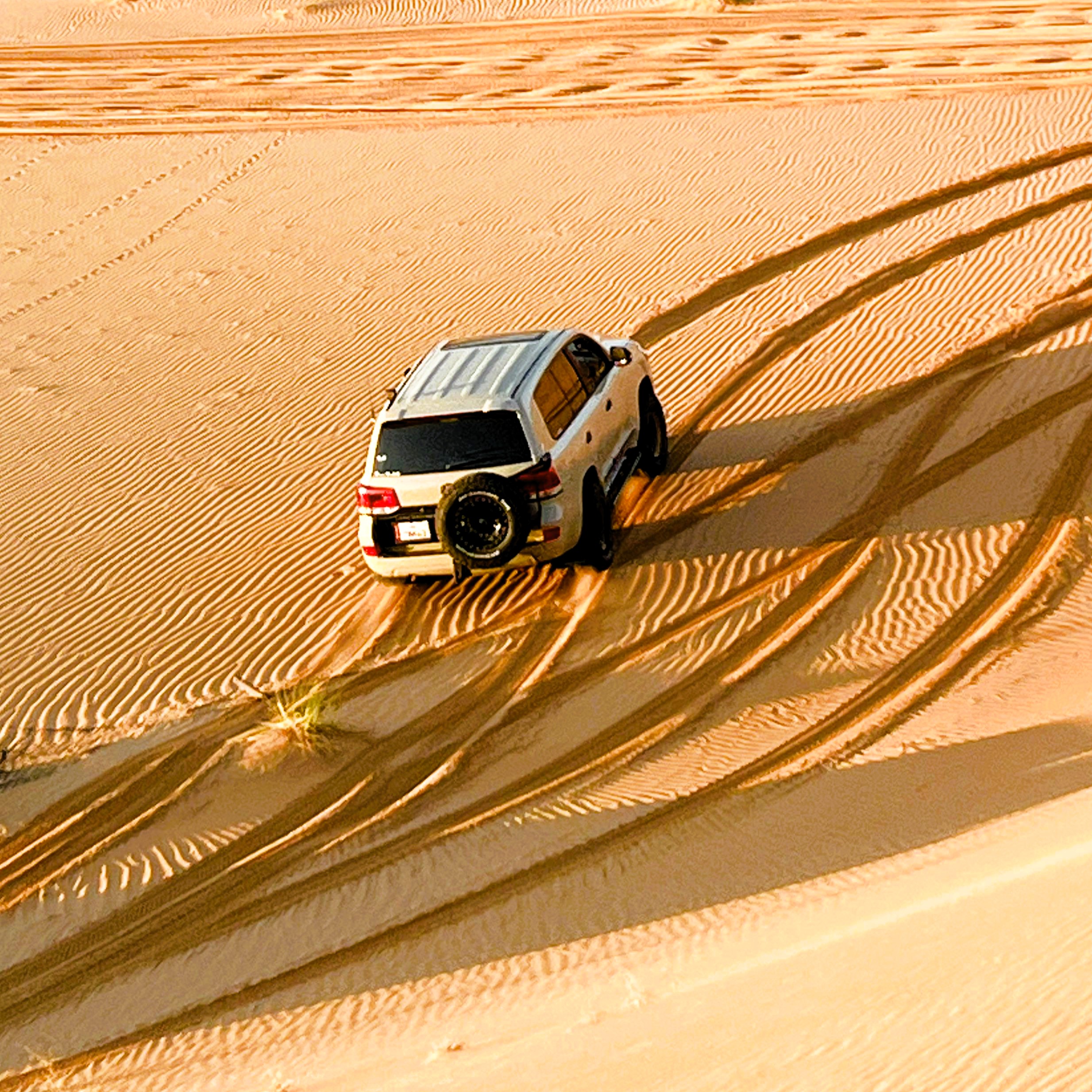 abu dhabi desert safari camel ride sunset dunes