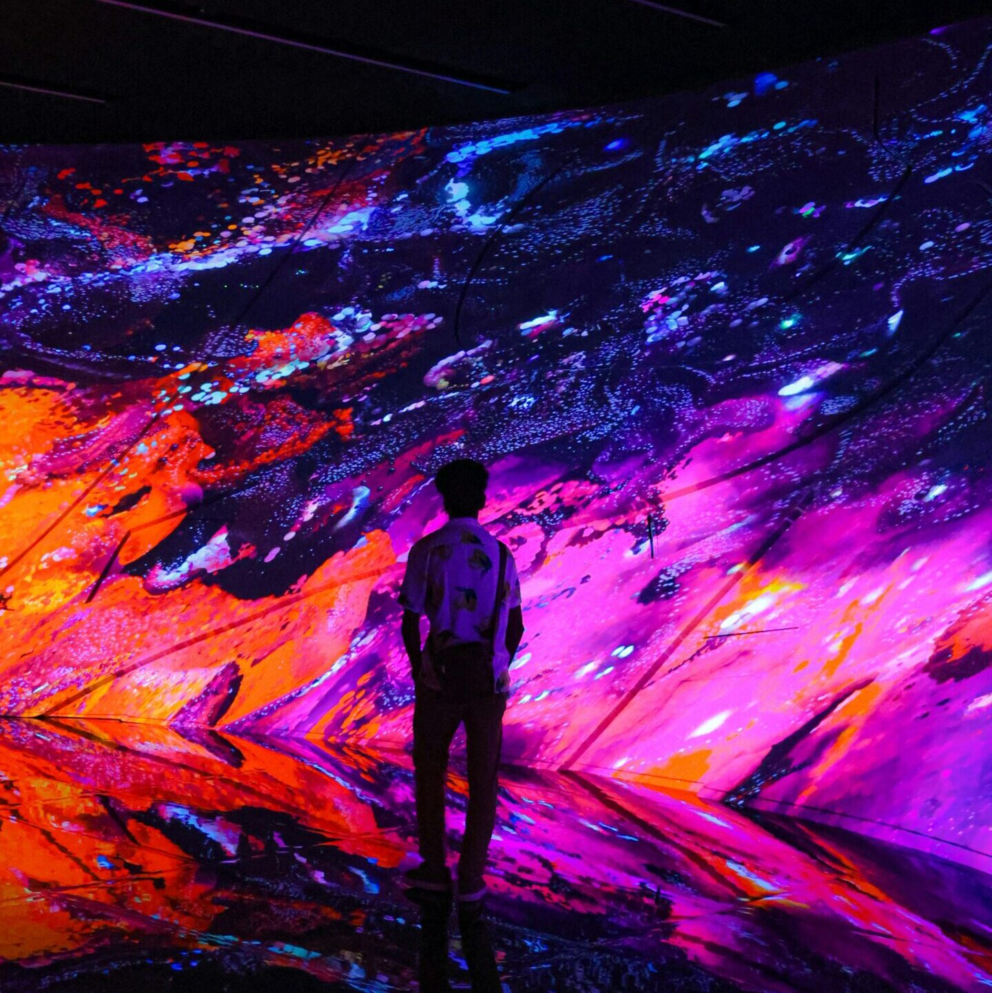 Arte Museum Dubai immersive digital art installations