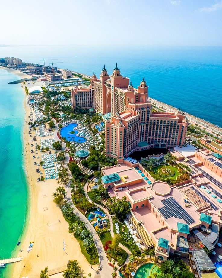 Dolphin Meet and Greet Atlantis Dubai experience at Dolphin Bay