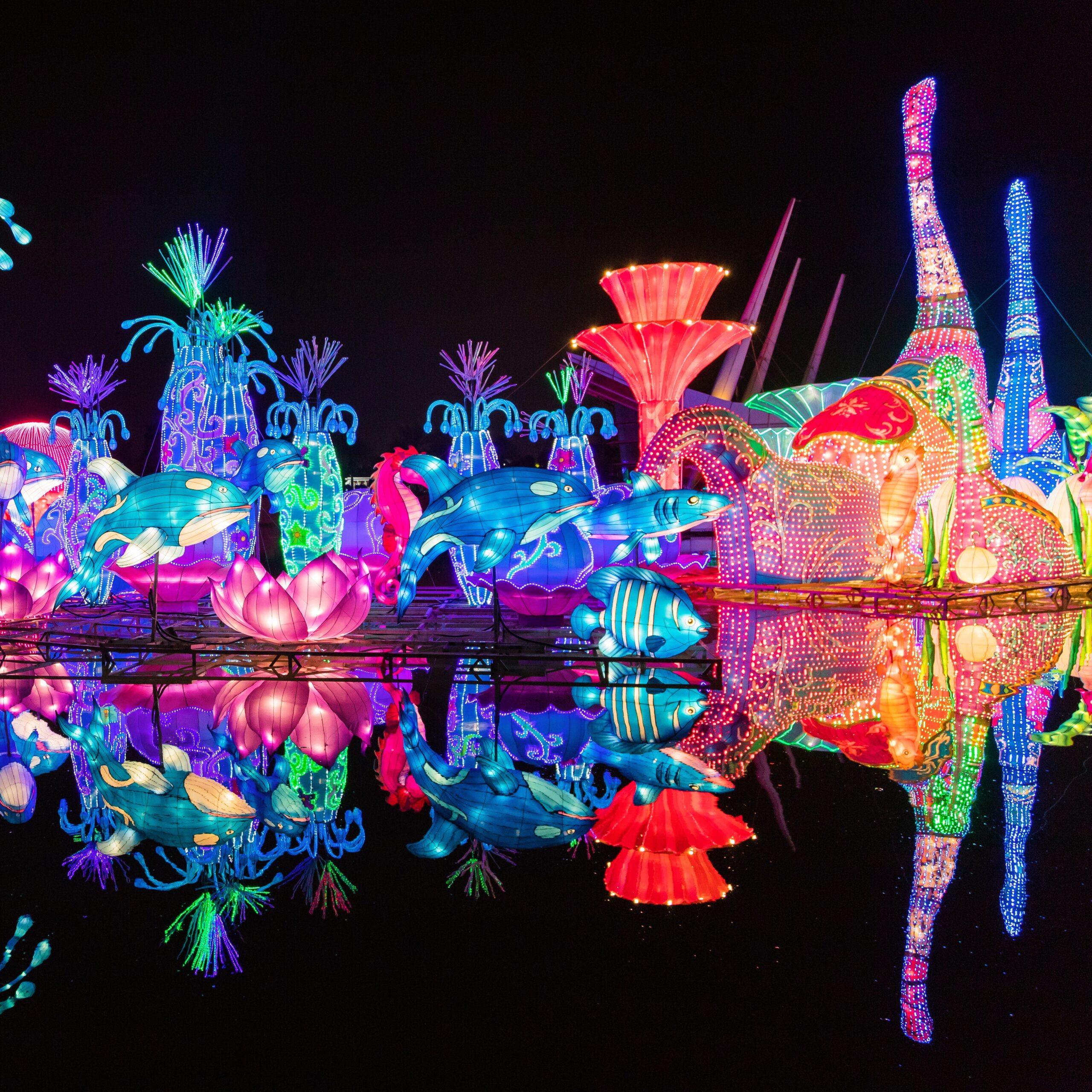 Dubai Glow Garden colorful light installations at night
