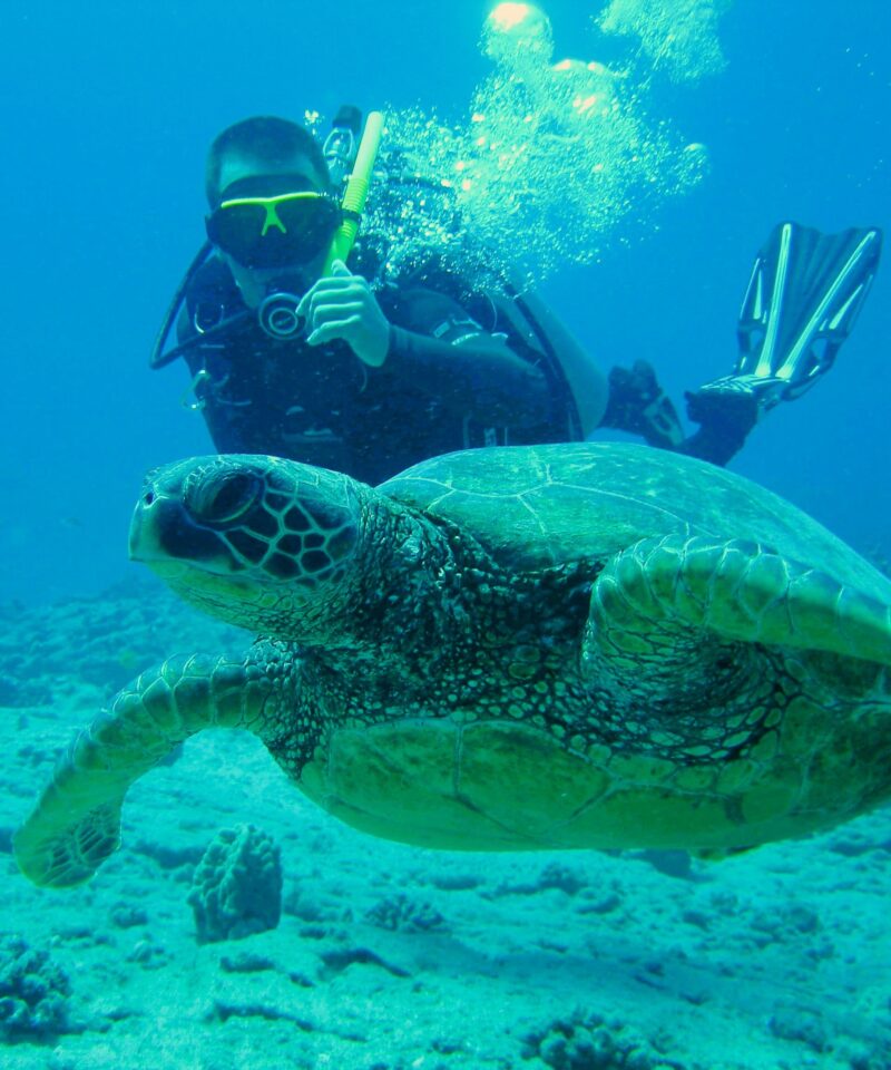 Scuba diving experience in Dubai underwater view